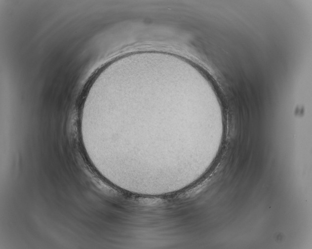 X0000095511498200801111401