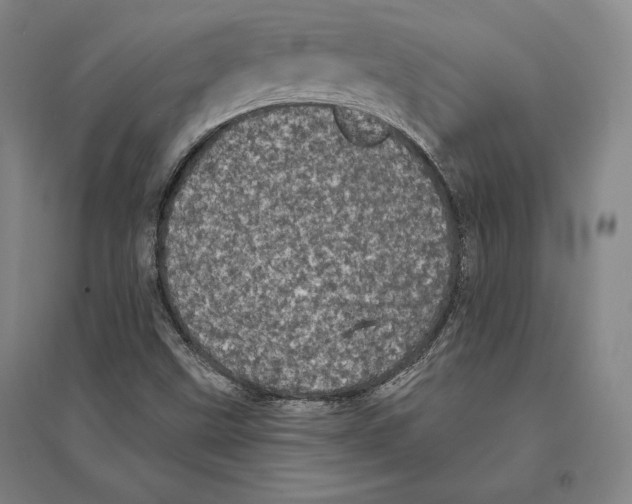 X0000095511499200801111401