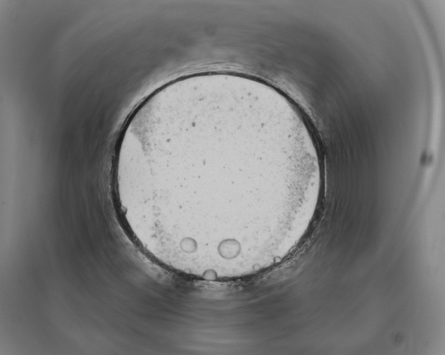 X0000095511500200801111401