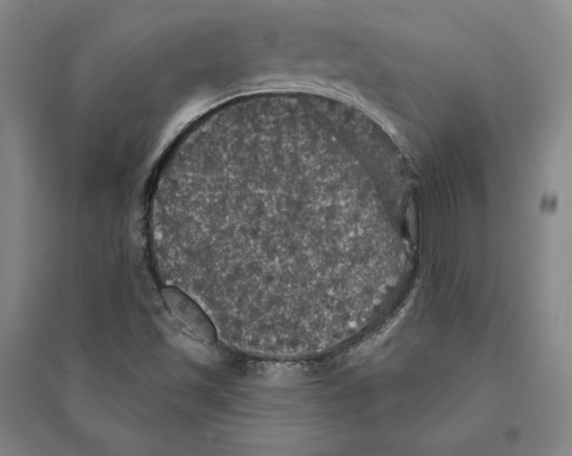 X0000095511501200801111401