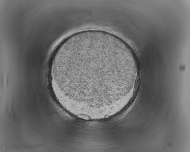 X0000095511502200801111401