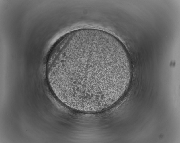 X0000095511503200801111401