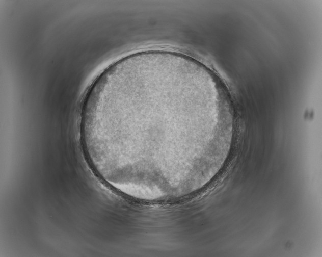 X0000095511504200801111401