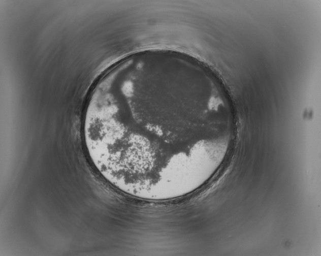 X0000095511505200801111401