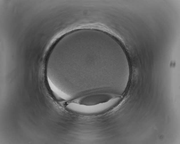 X0000095511506200801111401