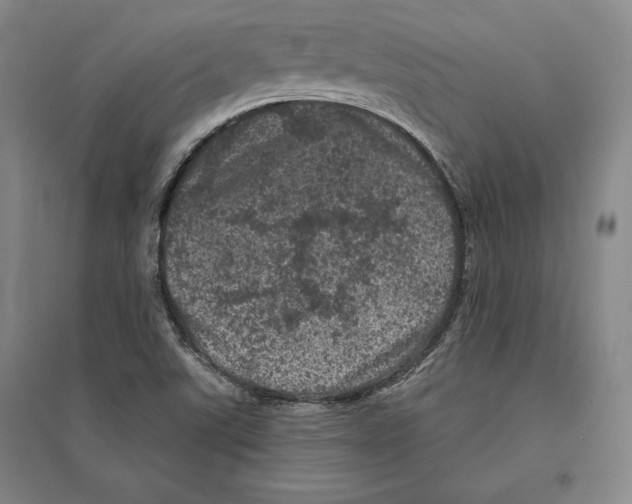 X0000095511507200801111401