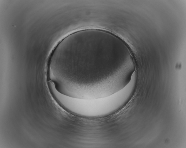 X0000095511508200801111401