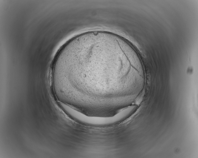 X0000095511510200801111401