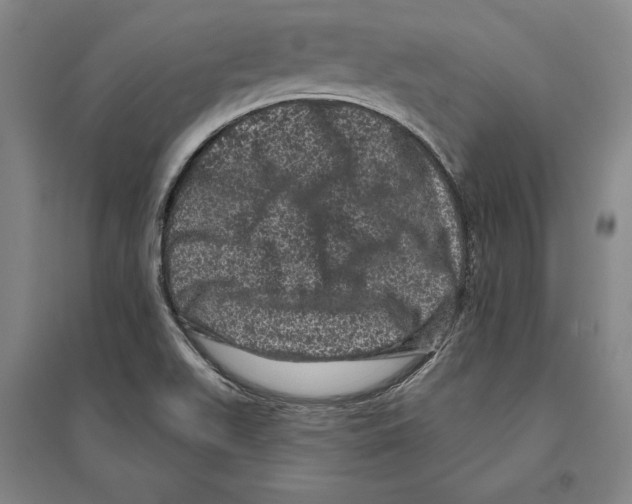 X0000095511511200801111401