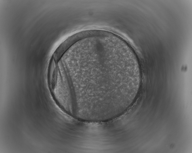 X0000095511512200801111401