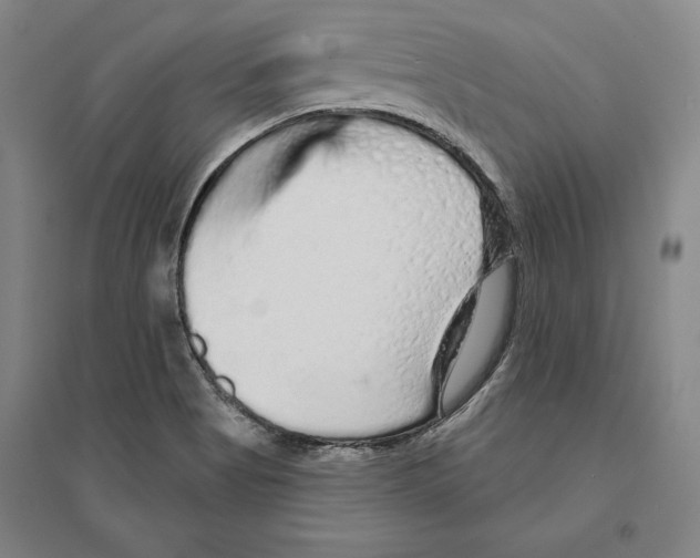 X0000095511513200801111401