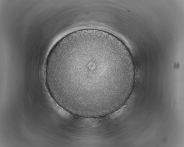 X0000095511514200801111401