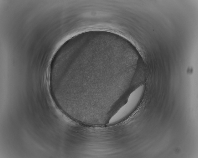 X0000095511515200801111401