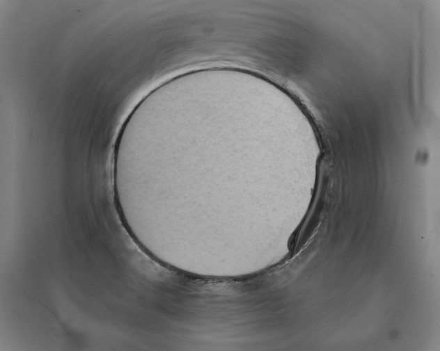 X0000095511516200801111401