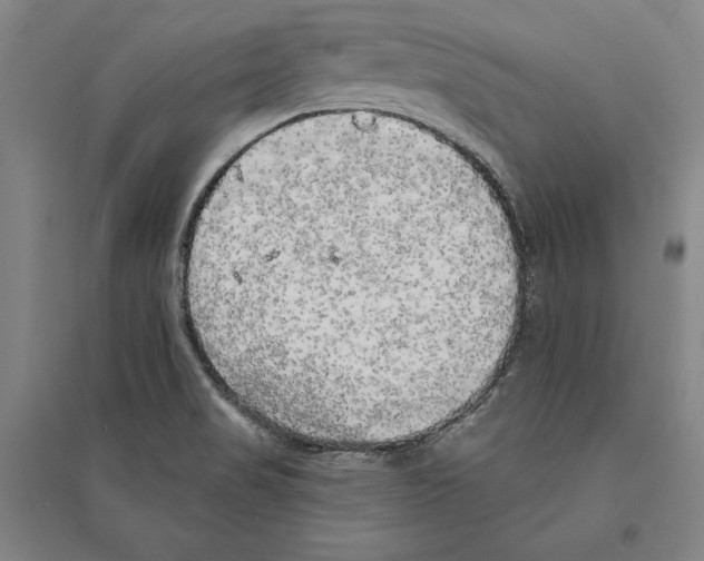 X0000095511517200801111401