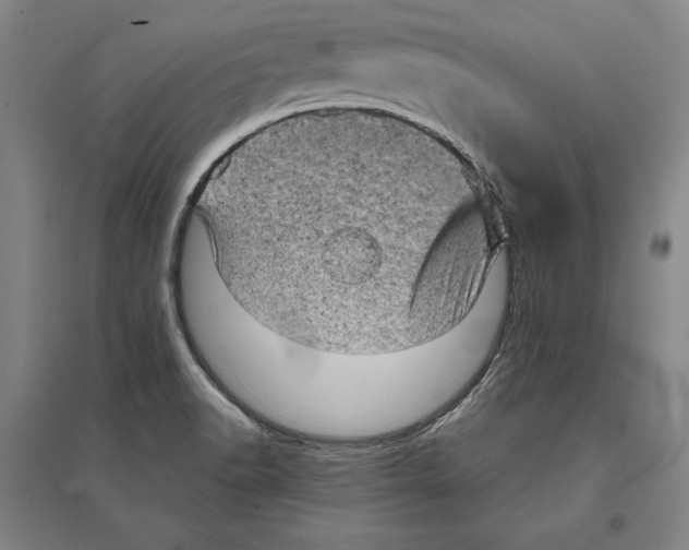 X0000095511518200801111401