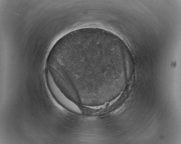 X0000095511519200801111401