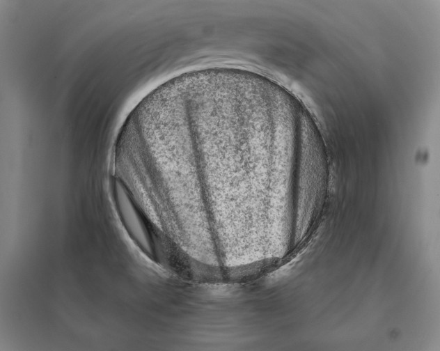 X0000095511520200801111401