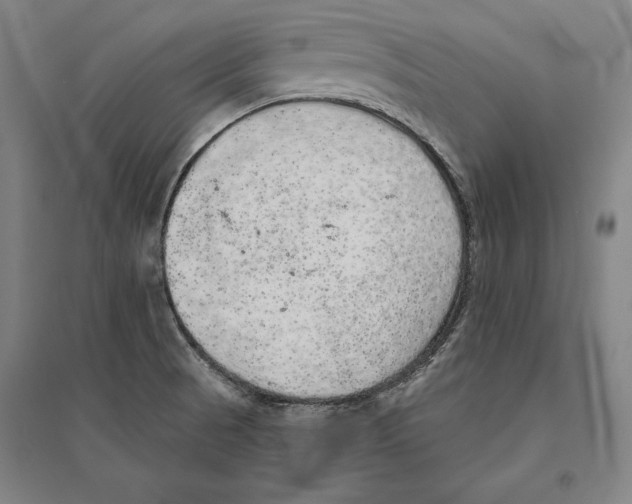 X0000095511521200801111401