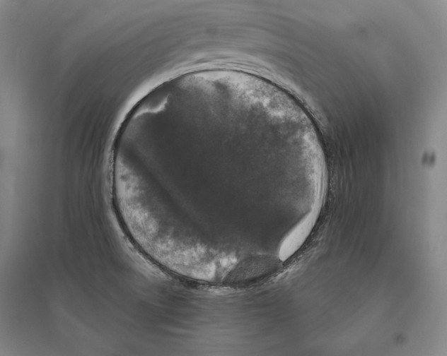 X0000095511522200801111401