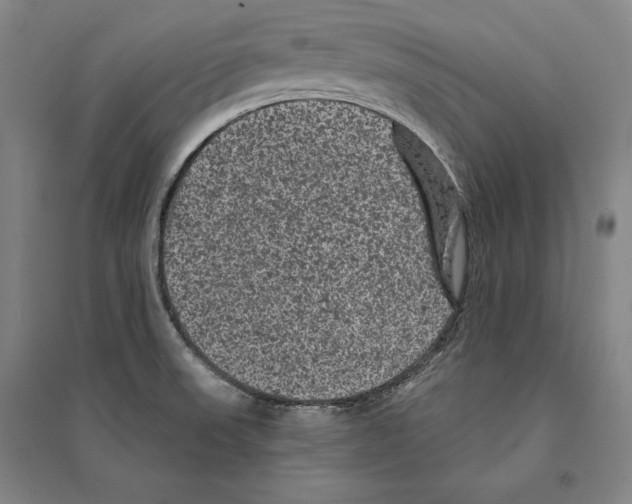 X0000095511523200801111401