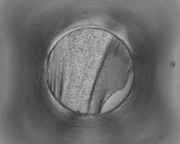 X0000095511524200801111401