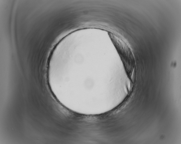 X0000095511525200801111401