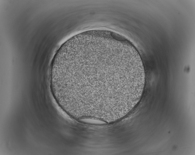 X0000095511526200801111401