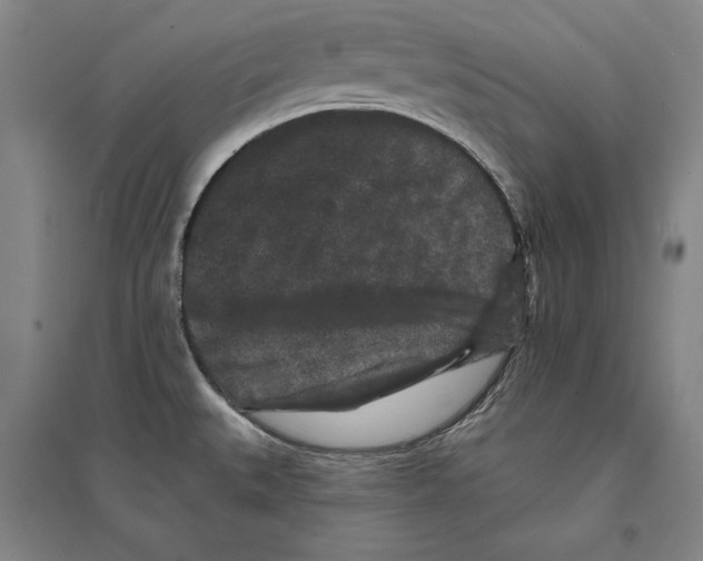 X0000095511527200801111401