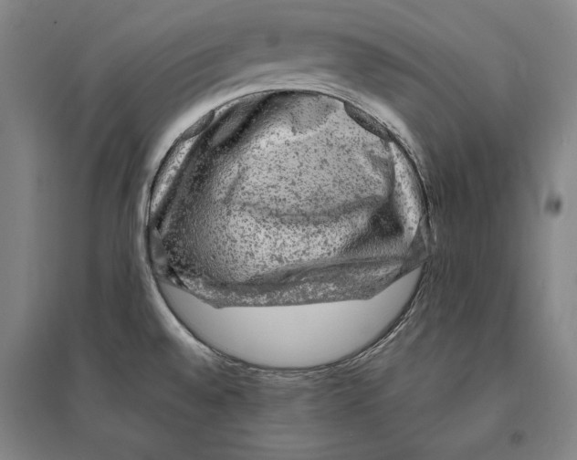 X0000095511528200801111401