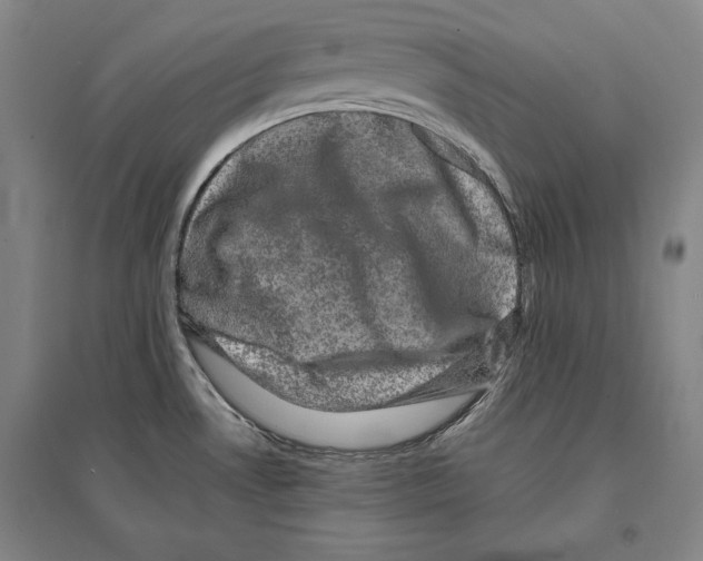 X0000095511530200801111401