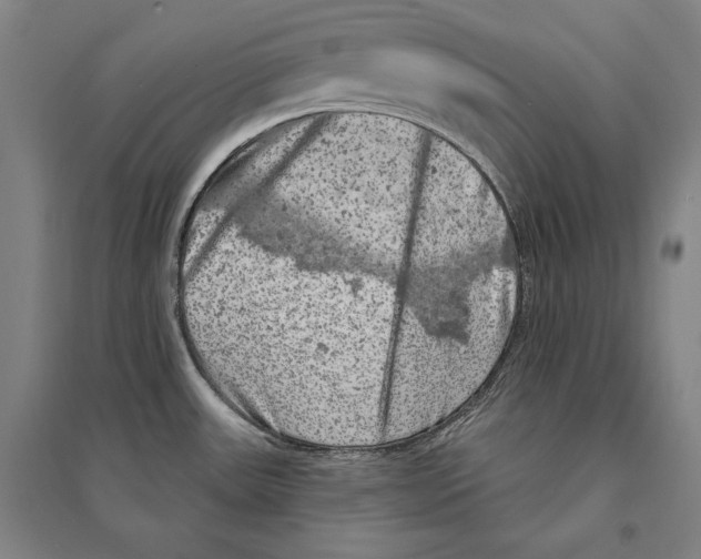 X0000095511531200801111401