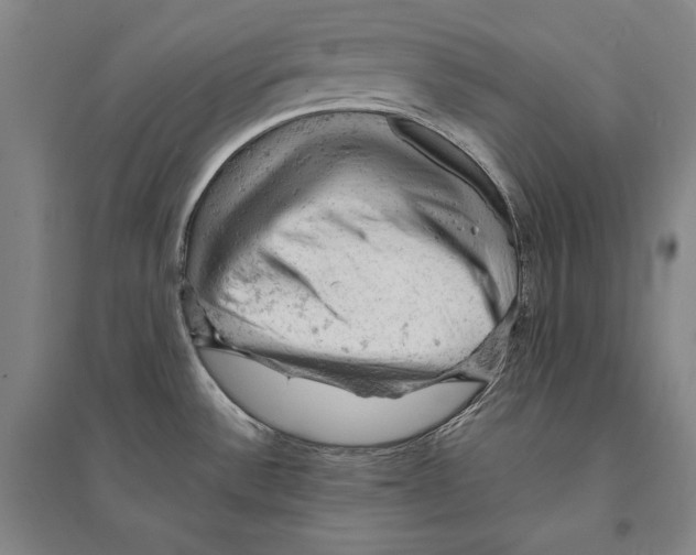 X0000095511532200801111401