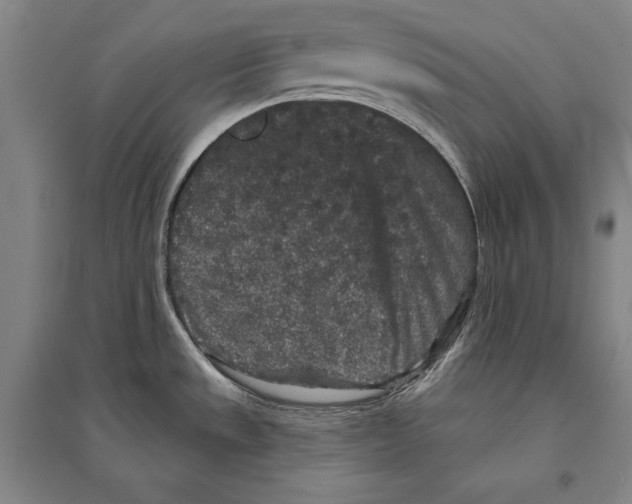 X0000095511533200801111401