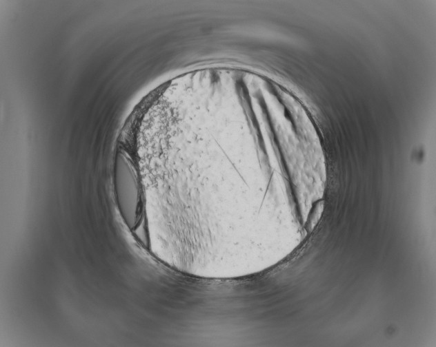 X0000095511534200801111402