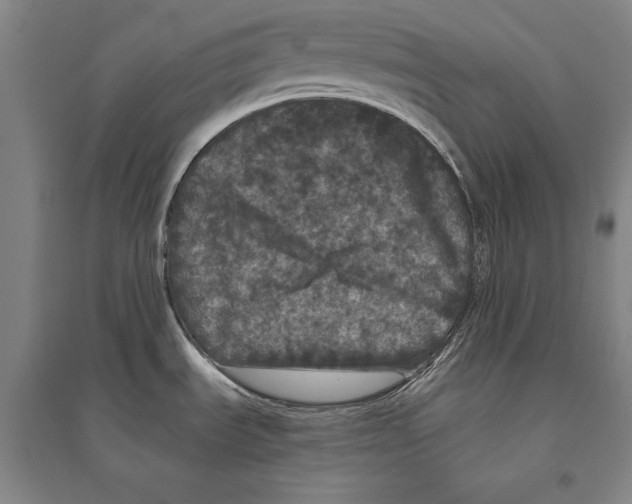 X0000095511535200801111402