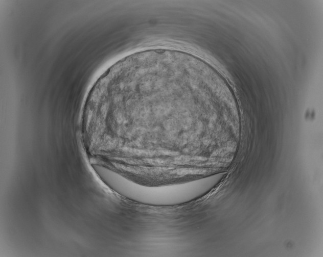 X0000095511536200801111402