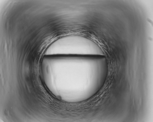 X0000095520002200712140920