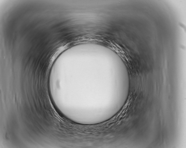 X0000095520003200712140920