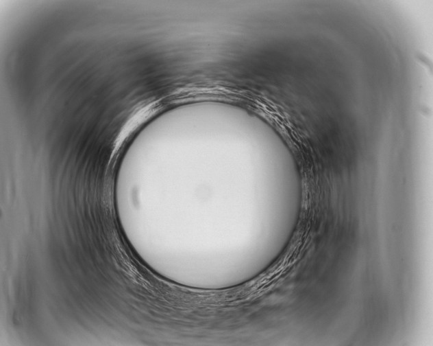 X0000095520004200712140920