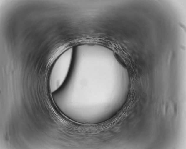 X0000095520005200712140920