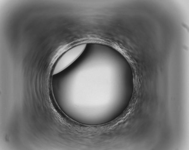 X0000095520007200712140920