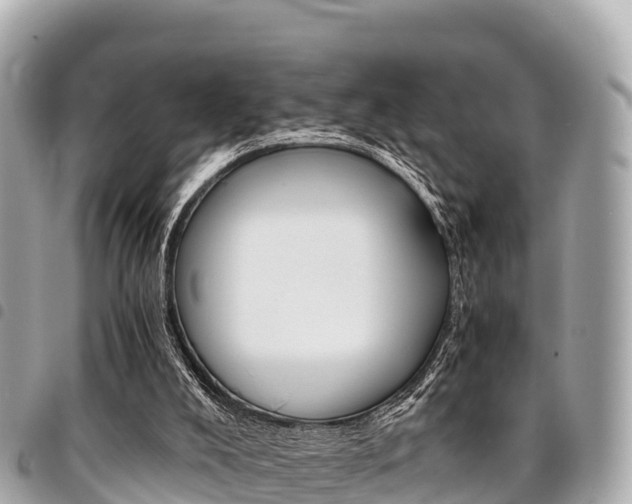 X0000095520008200712140920