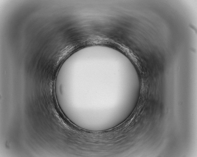 X0000095520010200712140920