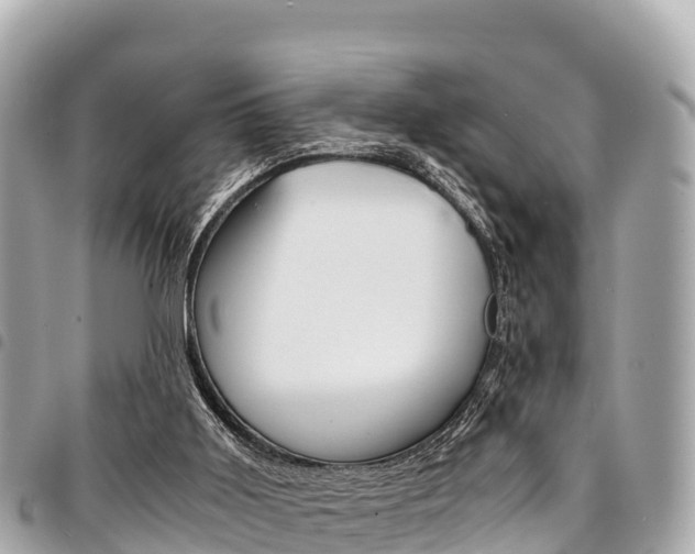 X0000095520011200712140920
