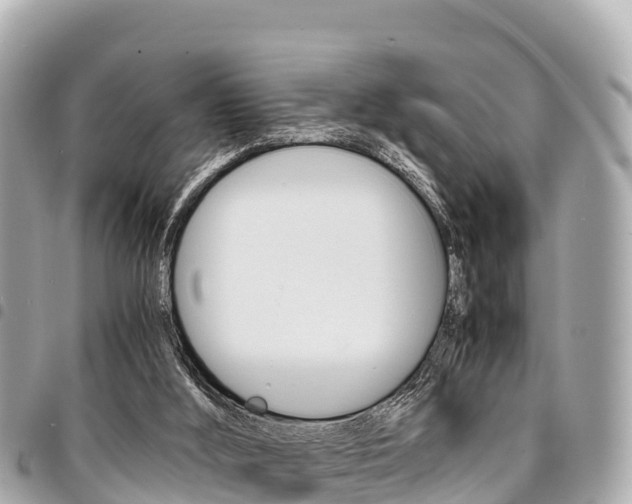 X0000095520012200712140920