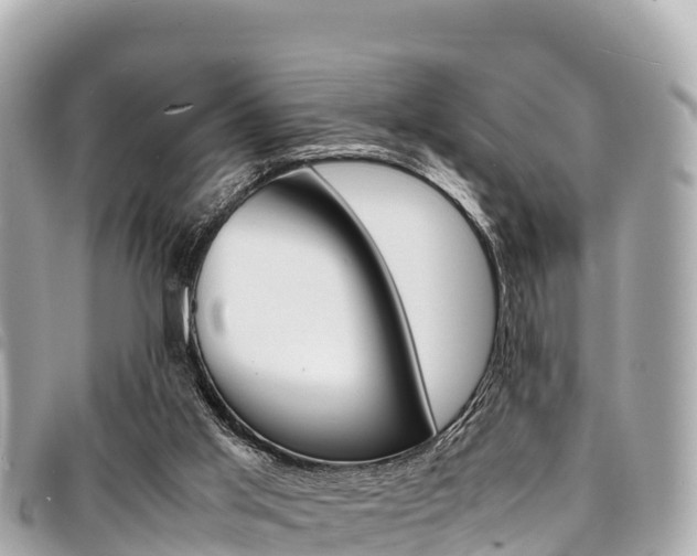 X0000095520013200712140920