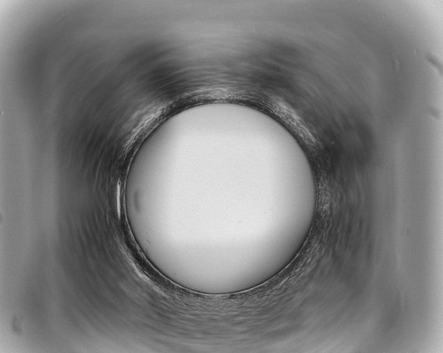 X0000095520014200712140920