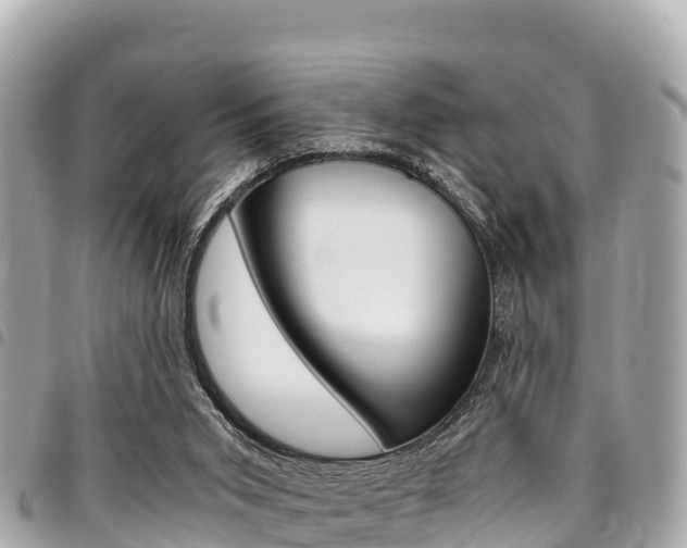 X0000095520015200712140920