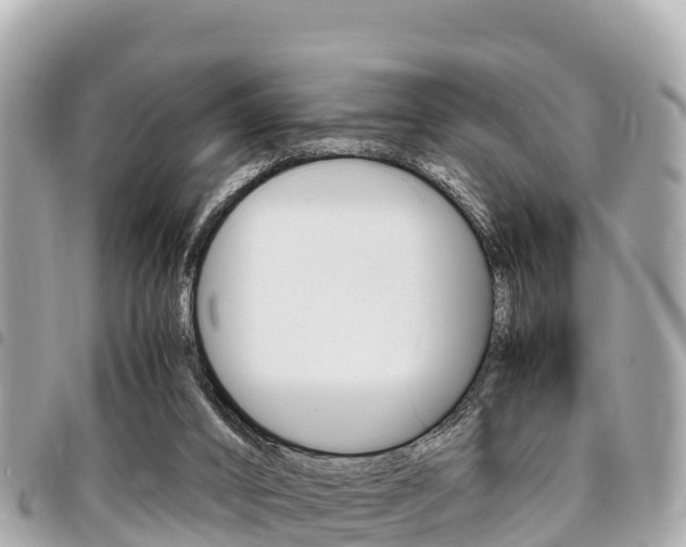 X0000095520016200712140920